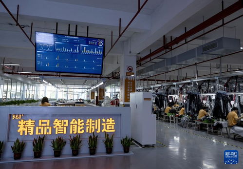從作坊到國際舞臺 晉江民營企業(yè)的投資新機遇