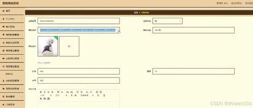 基于Node.js與Vue.js的寵物社區(qū)網(wǎng)站系統(tǒng) 計算機畢業(yè)設計與系統(tǒng)集成開發(fā)實踐